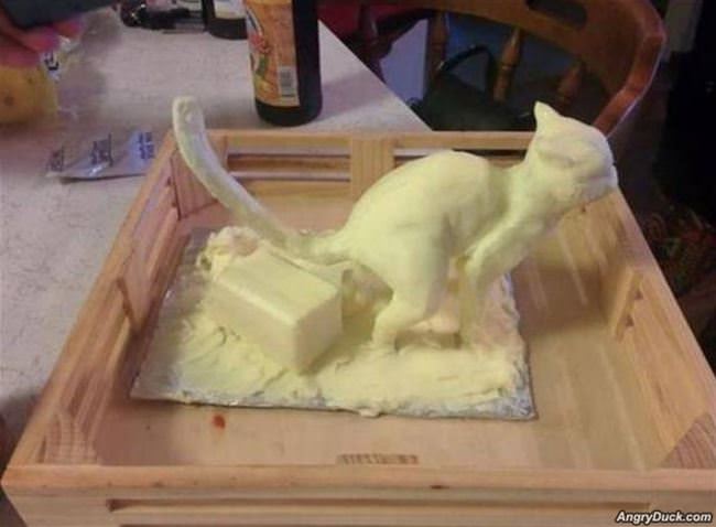 Cat Butter