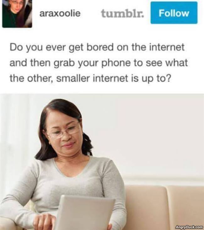 Ever Get Bored On The Internet