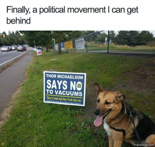 Finally A Good Political Movement