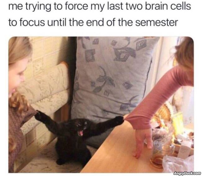 Focus Please
