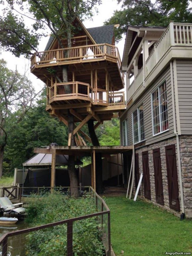 Hell Of A Tree House
