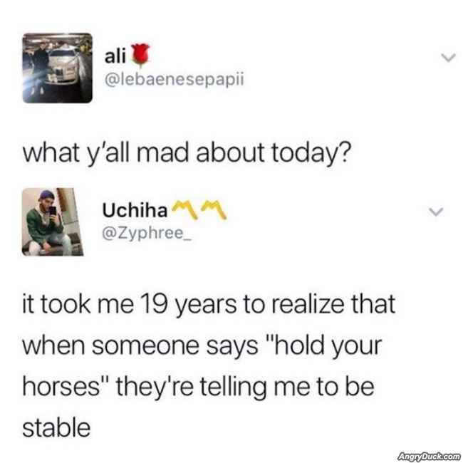 Hold Your Horses