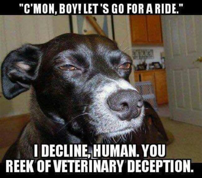 I Decline Your Invitation