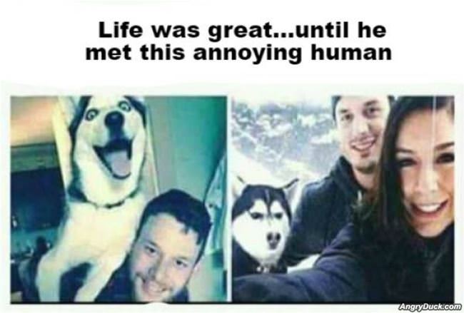 Life Was Great Until