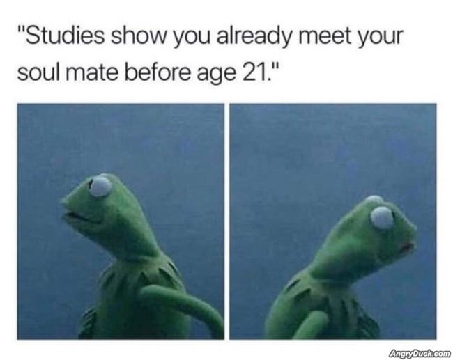 Studies Show