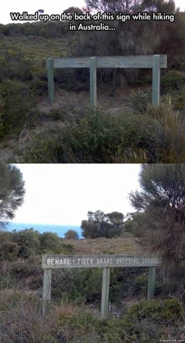 This Awesome Sign
