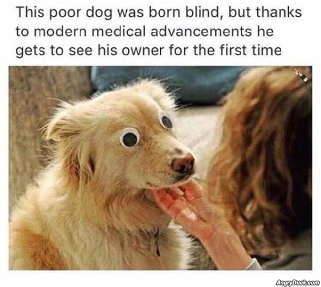 This Dog Was Born Blind