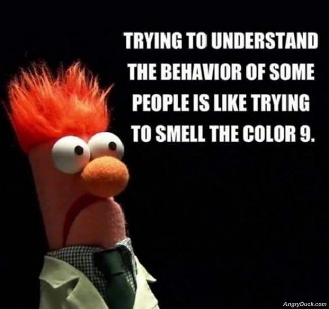Trying To Understand Some People