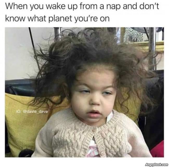 Waking Up From A Nap