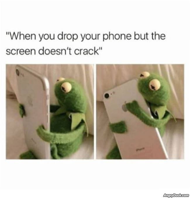 When You Drop Your Phone