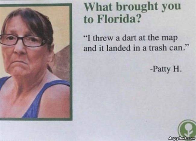 Why Did You Land In Florida