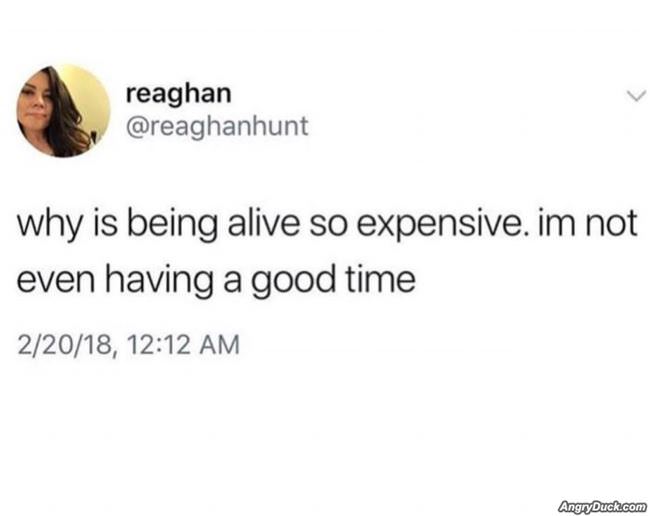 Why Is It So Expensive