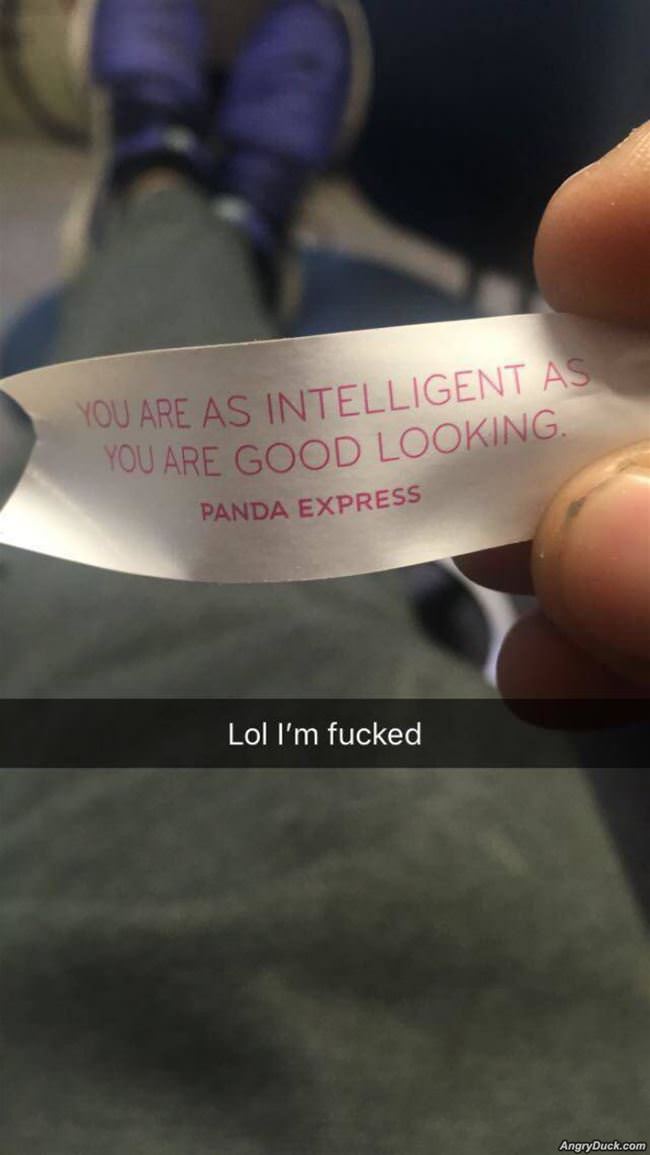 You Are As Intelligent