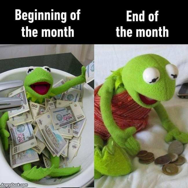 Beginning And End Of The Month