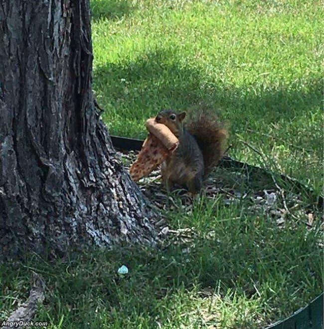 Check Out What I Found