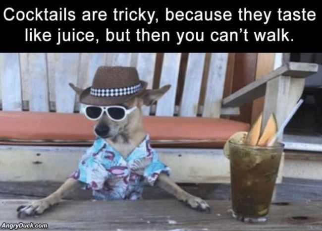 Cocktails Can Be Tricky
