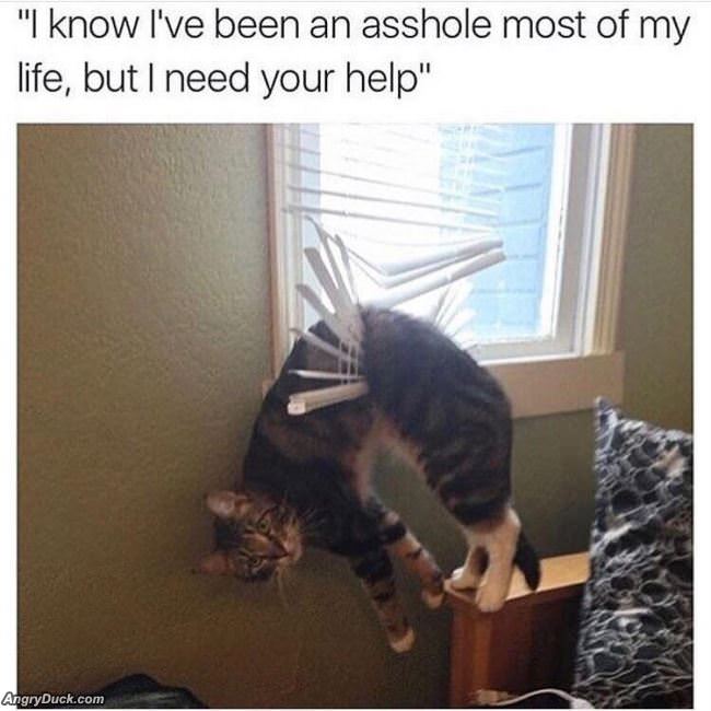 I Need Your Help