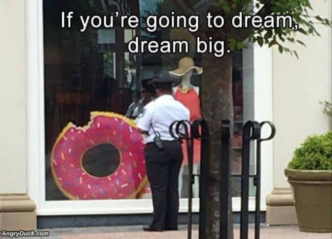 If You Are Going To Dream