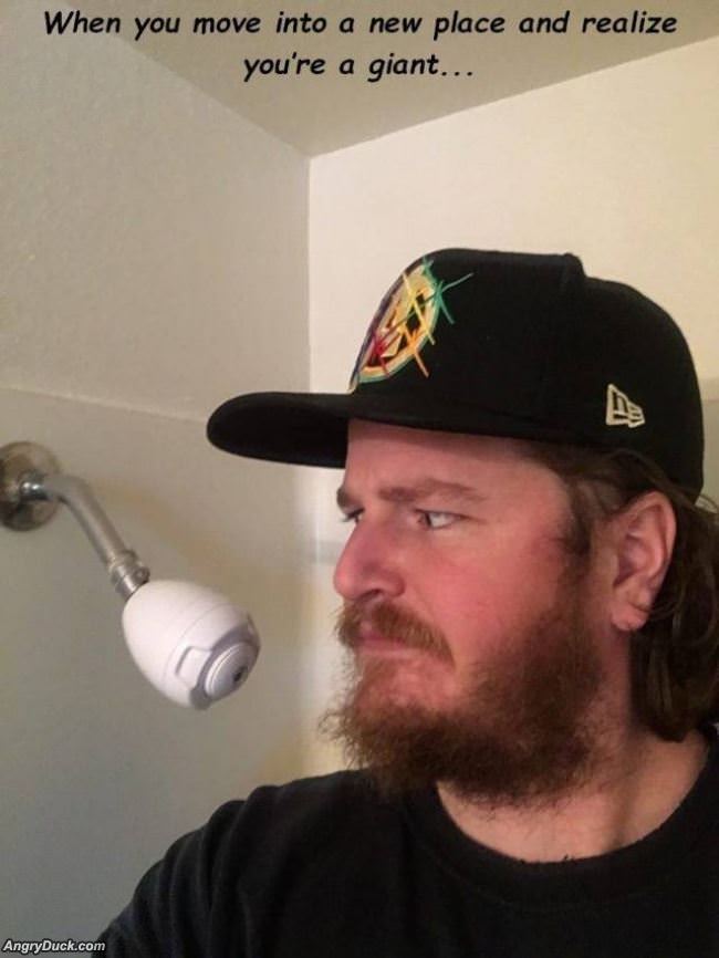 Moved To A New Place