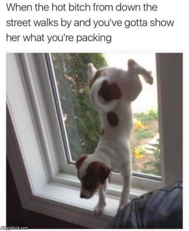 Need To Show Her