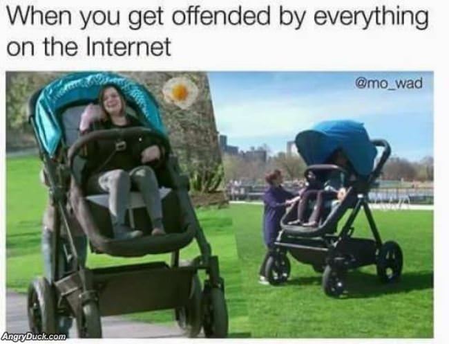 Offended By Everything