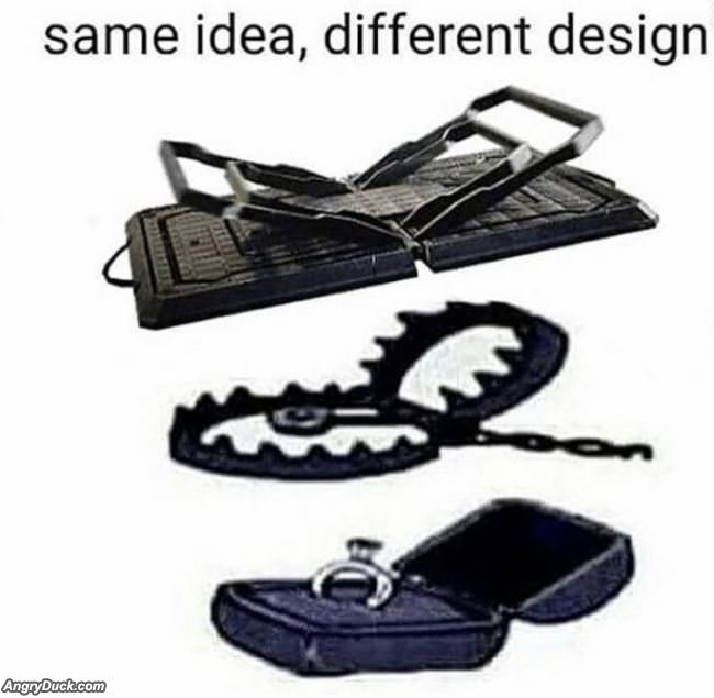 Same Idea Different Designs