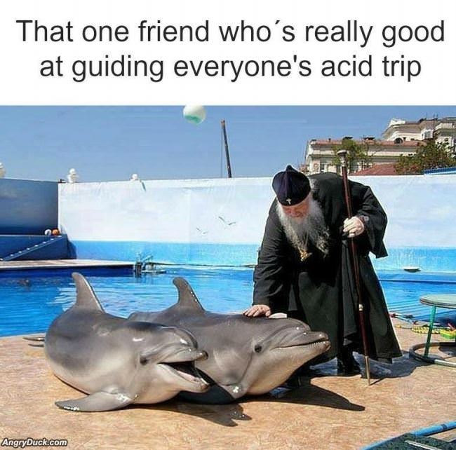 That One Friend