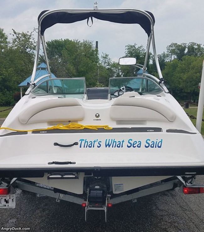 What Sea Said