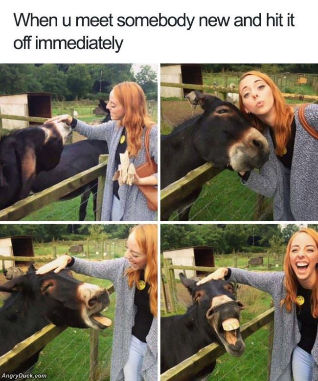 When You Meet Someone New