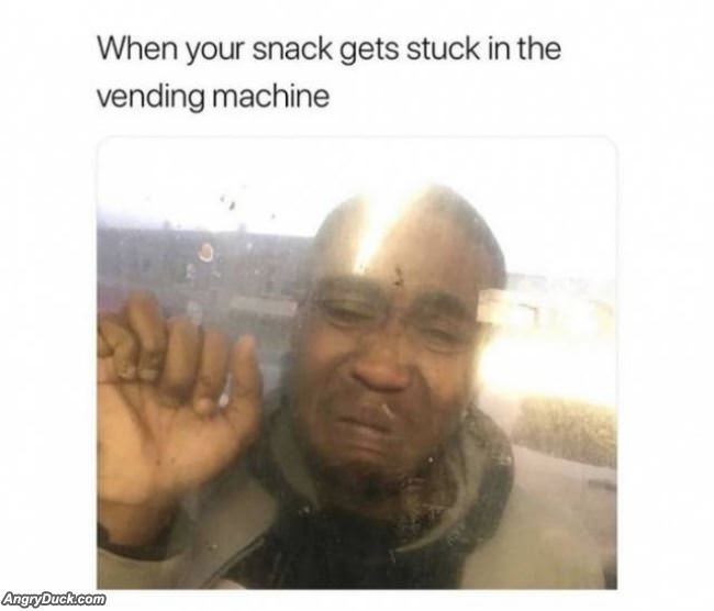 When Your Snack Gets Stuck