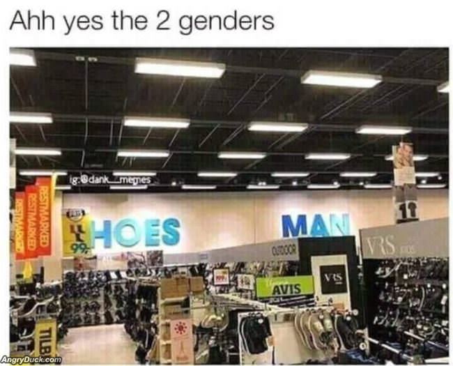 2 Genders