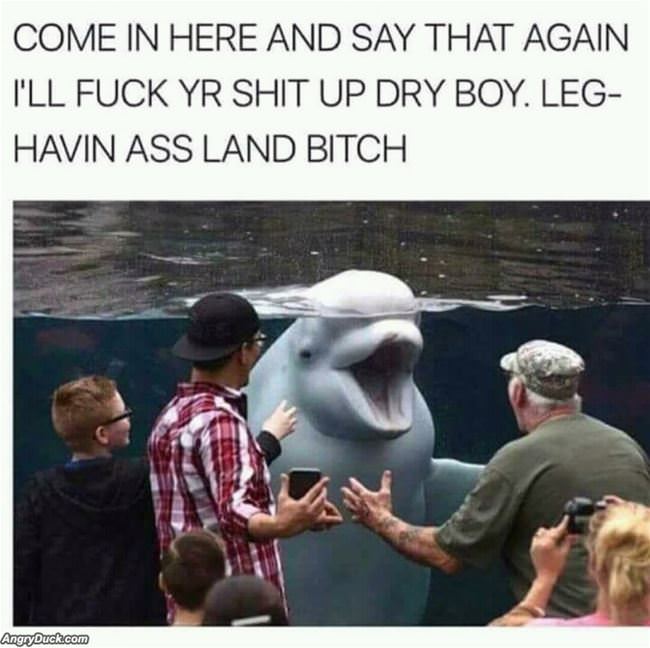 Come In Here And Say It Again