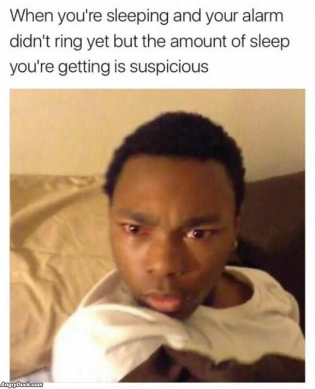 I Am Way Too Rested Right Now