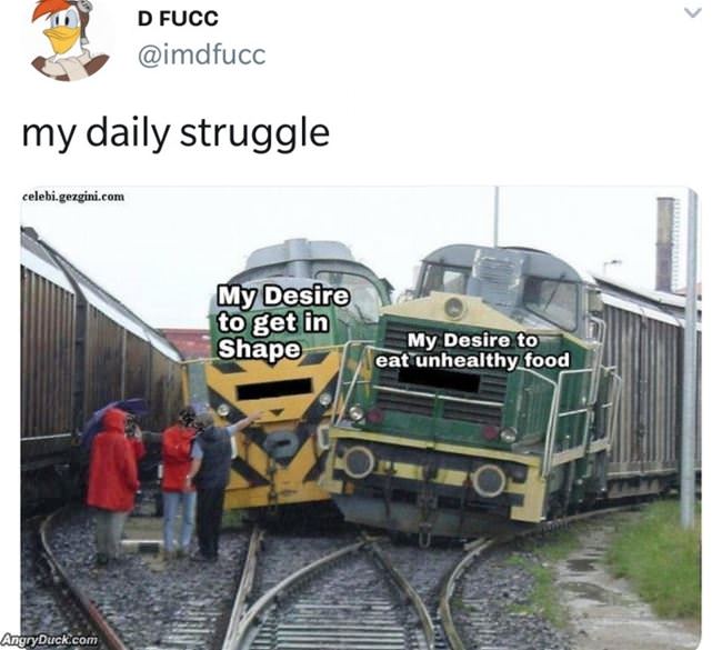 My Daily Struggle