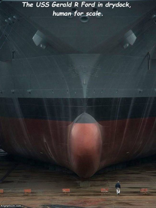 That Is A Huge Ship