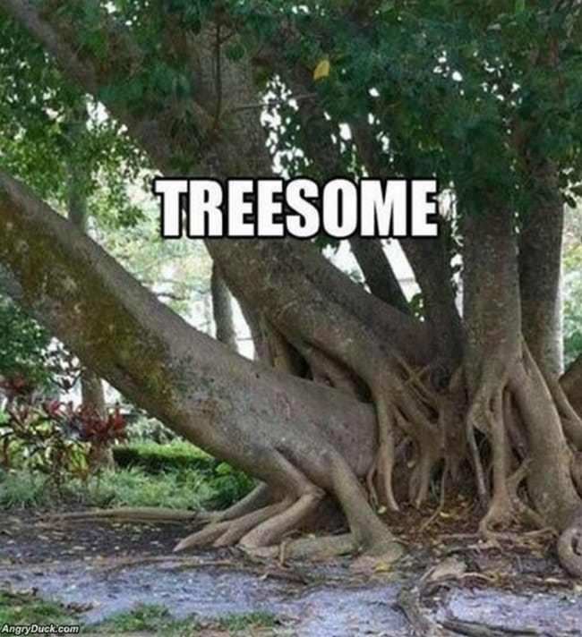 Treesome