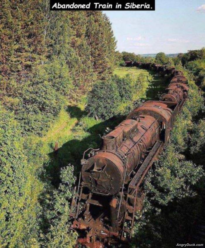 Abandoned Train In Siberia