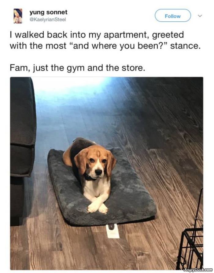 And Where Have You Been