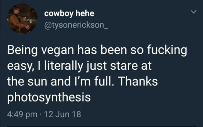 Being A Vegan