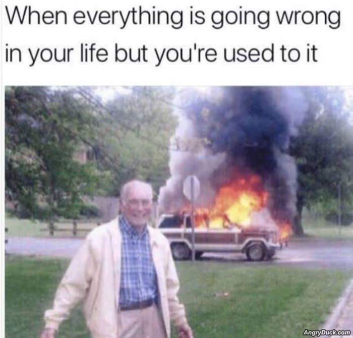 Everything Is Going Wrong