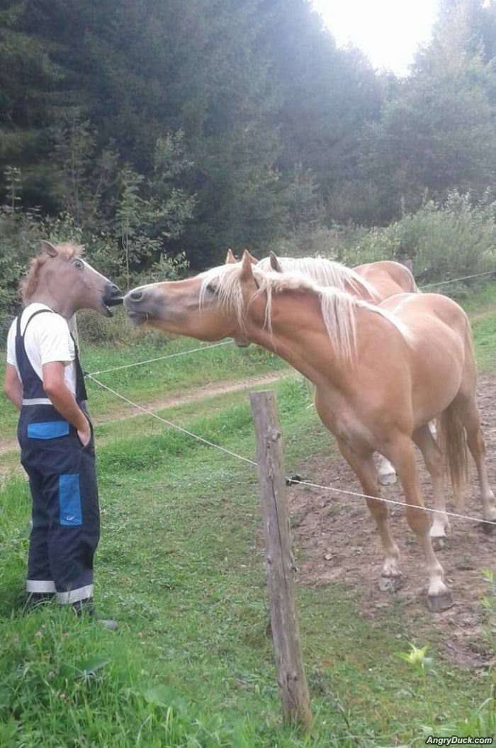 Give Me A Kiss