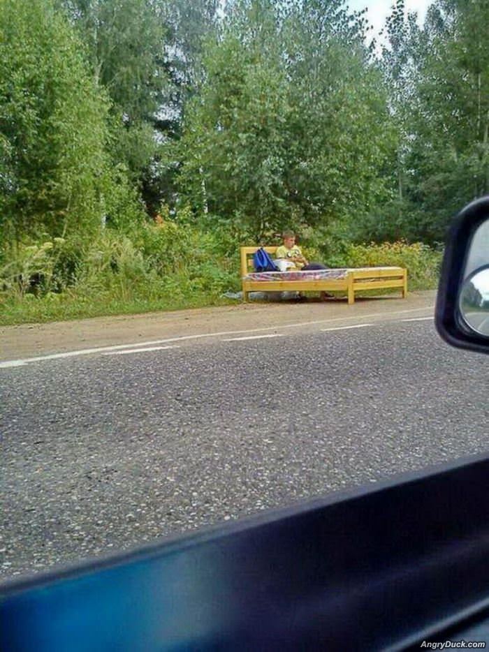 Good Place To Settle Down