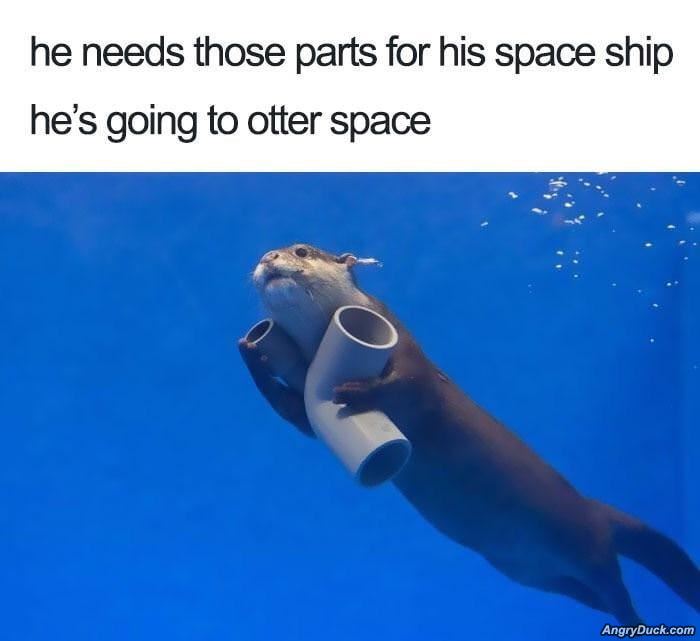 He Needs Those Parts