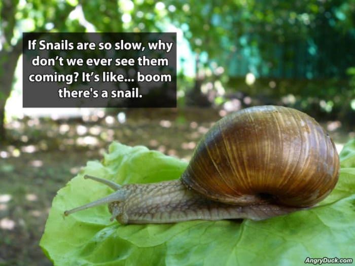 How Slow Can They Be