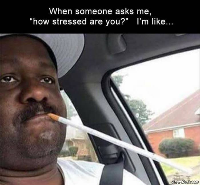 How Stressed Are You