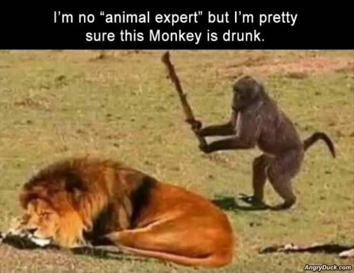 I Am No Expert