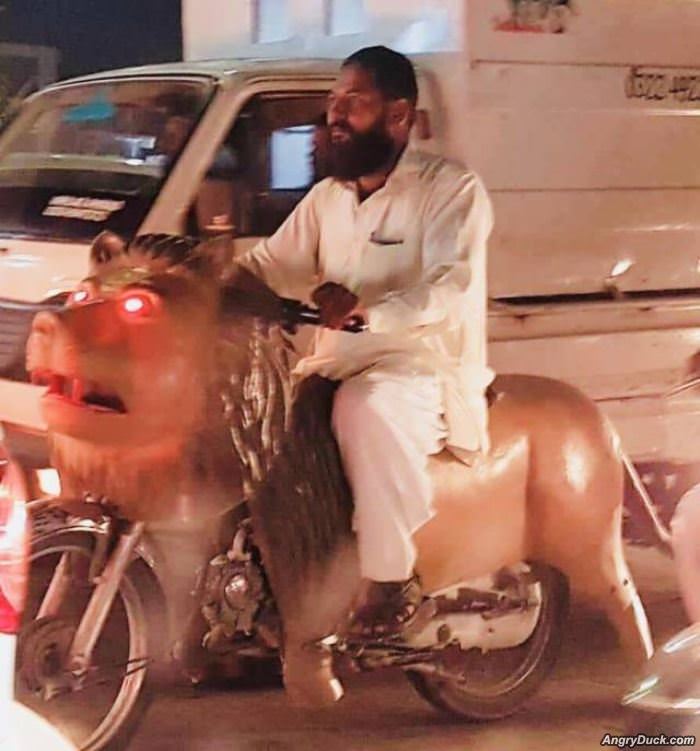 Lion Bike