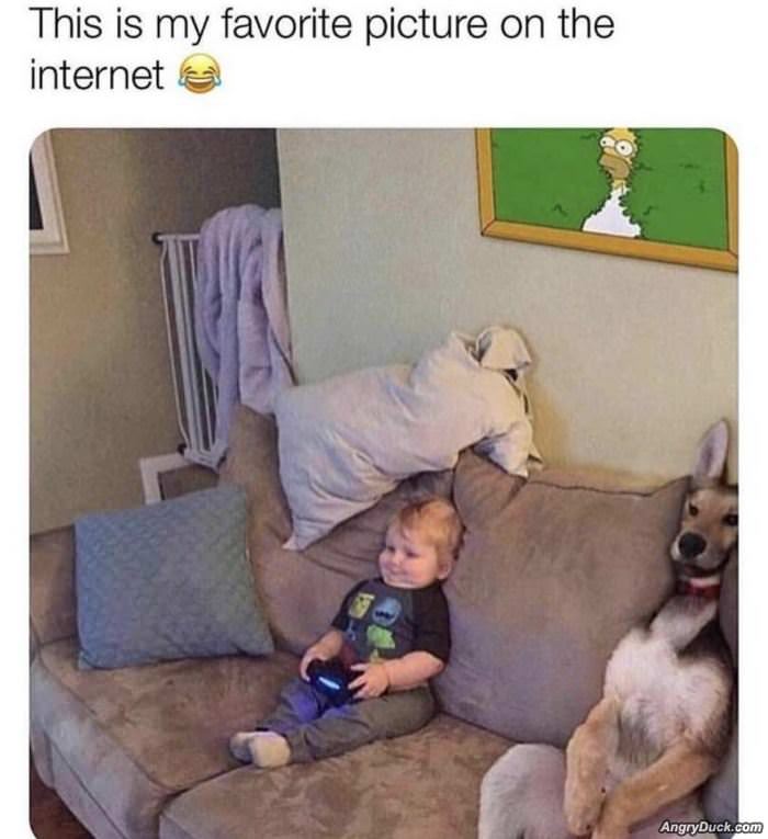 My Favorite Picture On The Internet
