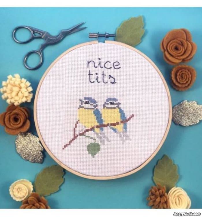 Nice Tits