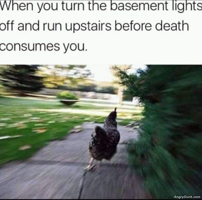 Run For It